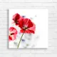 Vibrant Red Poppies Floral Nature Canvas Print