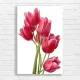 Vibrant Pink Tulips Blossom Canvas Print
