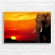 Majestic Elephant Sunset African Safari Canvas Print