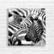 Bold Zebra Stripes Fine Art Canvas Print
