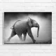 Majestic Baby Elephant Safari Black & White Canvas Print