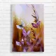 Whispers of Spring Butterfly Canvas Print