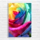 Vibrant Rainbow Rose Water Droplets Canvas Print
