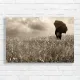 Stormy Field Solitude Vintage Canvas Print