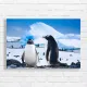 Adorable Penguins in Antarctica Canvas Print
