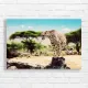 Majestic Cheetah Safari Canvas Print