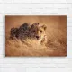 Majestic Cheetah in Golden Grass Canvas Print
