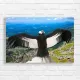 Majestic Andean Condor Wingspan Canvas Print