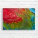 Vibrant Macaw Feathers Canvas Print