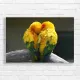 Sun Conures Embrace Canvas Print