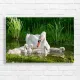 Graceful Swan Family Nature Canvas Print