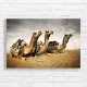 Majestic Camels Desert Journey Canvas Print