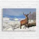 Majestic Stag Winter Scene Canvas Print