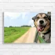 Joyful Dog Road Trip Canvas Print