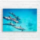 Majestic Dolphin Pod Ocean Canvas Print