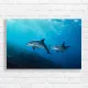 Ocean Dolphins Swimming Canvas Print