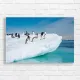 Antarctic Penguins on Iceberg Canvas Print