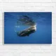 Majestic Sperm Whale Ocean Scene Canvas Print