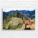 Machu Picchu Llamas Adventure Canvas Print