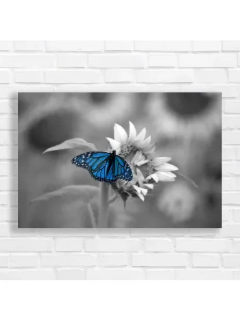 Vibrant Blue Butterfly Sunflower Canvas Print