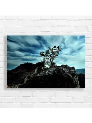Dramatic Lone Tree Rocky Vista Canvas Print