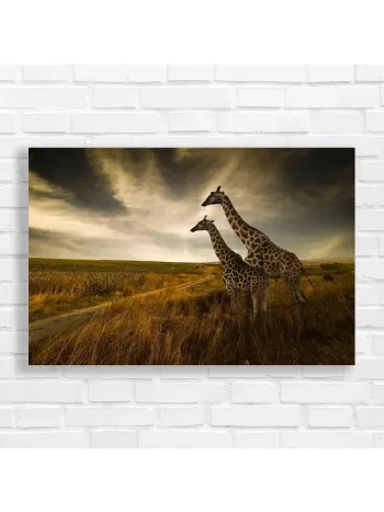 Majestic Giraffes Safari Landscape Canvas Print