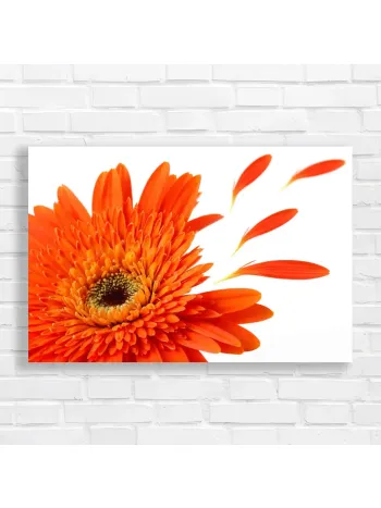 Vibrant Orange Gerbera Flower Canvas Print