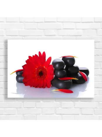 Red Gerbera Spa Stones Zen Canvas Print