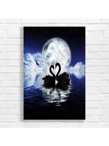 Enchanting Swans Love Heart Night Sky Canvas Print