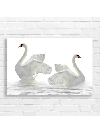 Elegant Swans Graceful Wings Canvas Print