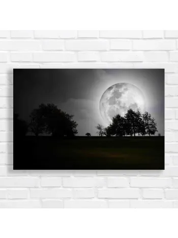 Mystic Full Moon Landscape Canvas Print