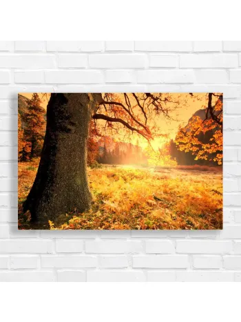 Golden Autumn Yosemite Landscape Canvas Print