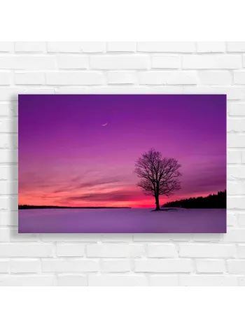 Solitary Tree Sunset Dream Canvas Print