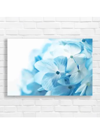 Serene Blue Hydrangea Floral Canvas Print