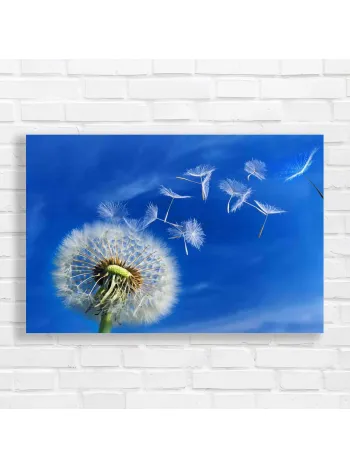 Dreamy Dandelion Seeds Floating Canvas Print