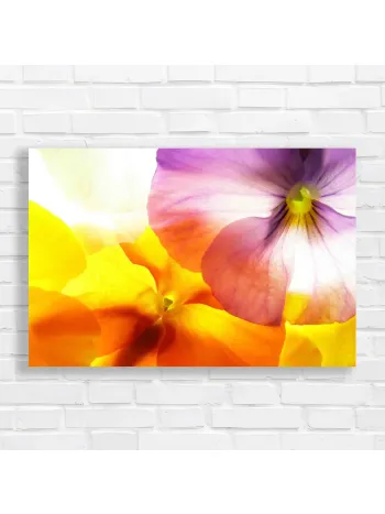 Vibrant Floral Close-Up Canvas Print