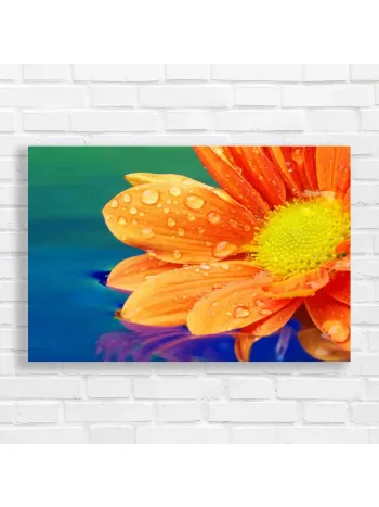 Vibrant Orange Flower with Water Droplets Canvas Print