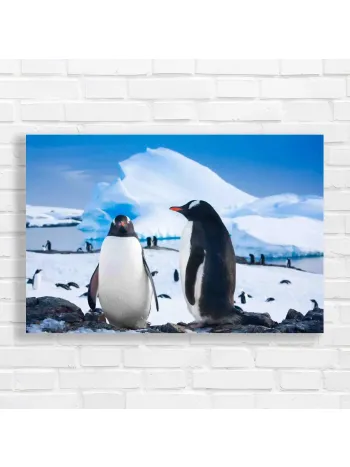 Adorable Penguins in Antarctica Canvas Print