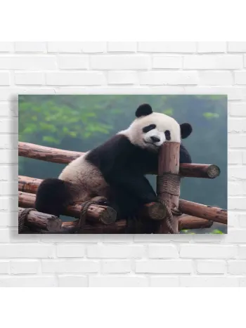 Gentle Panda Portrait Canvas Print - Wildlife Decor