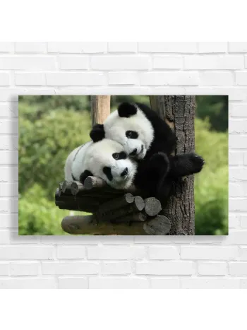 Adorable Panda Hugs Canvas Print