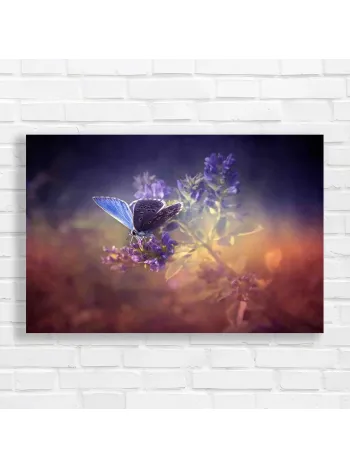 Enchanting Blue Butterfly Floral Canvas Print