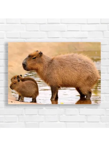 Adorable Capybara Family Nature Canvas Print