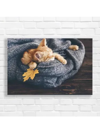 Cozy Orange Kitten Autumn Nap Canvas Print