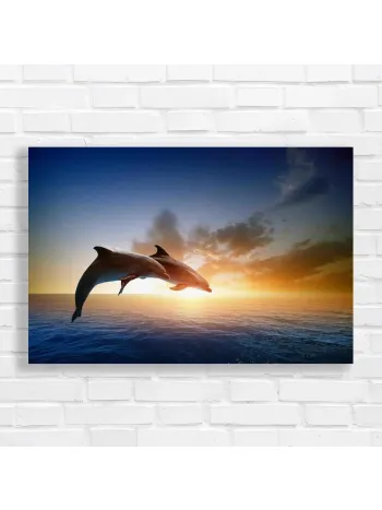 Dolphins Jumping at Sunset Canvas Print