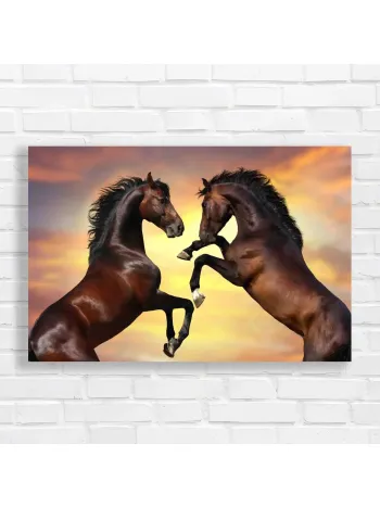 Majestic Rearing Horses Sunset Canvas Print