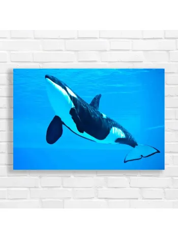 Majestic Orca Ocean Canvas Print