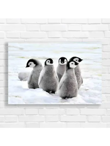 Adorable Penguin Chicks Fluffy Snow Canvas Print
