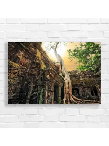 Ancient Temple Tree Roots Canvas Print